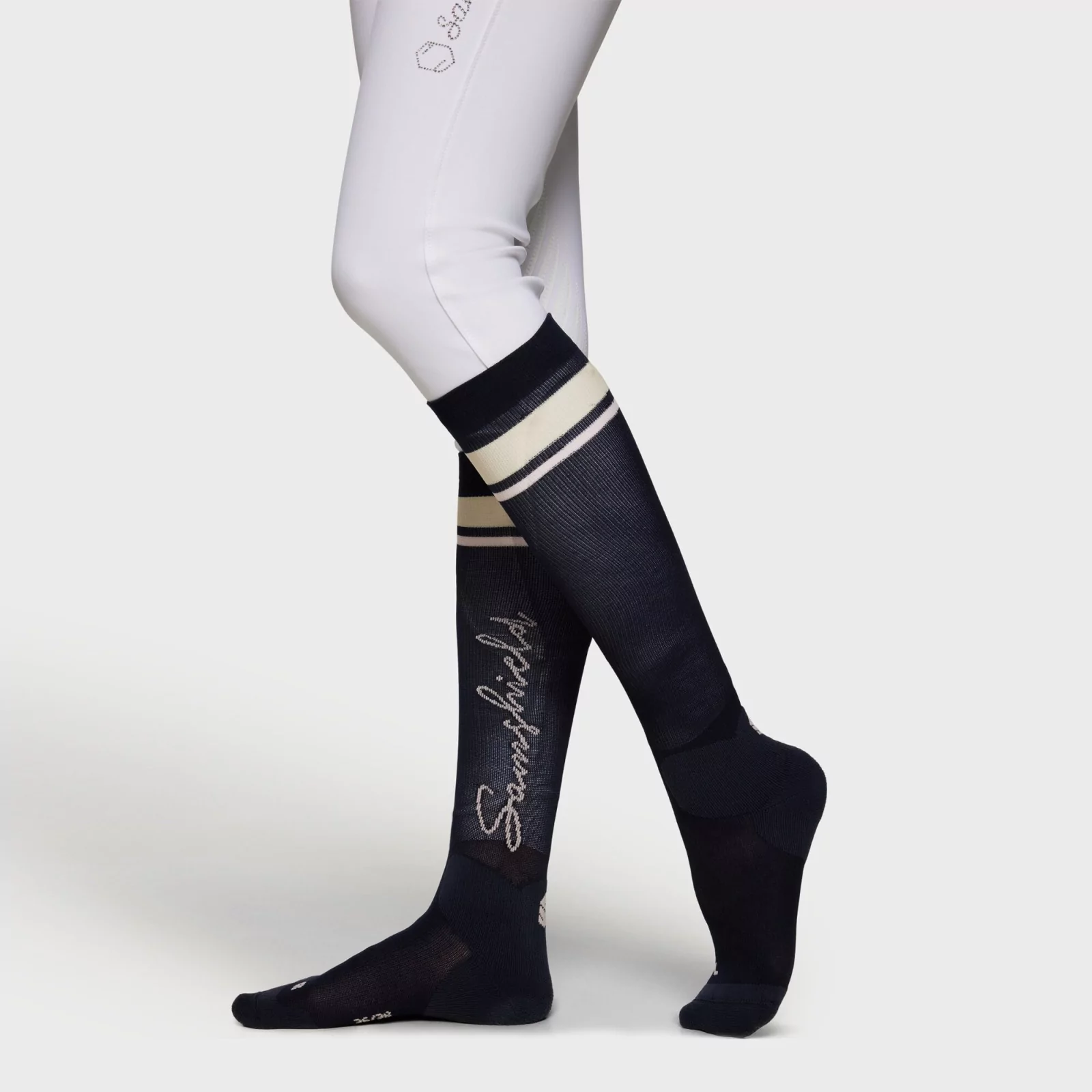 Samshield Balzane Stripe Socks Rosa - Image 2