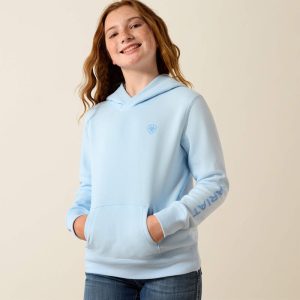 Ariat 2.0 Hoodie - Nantucket Breeze